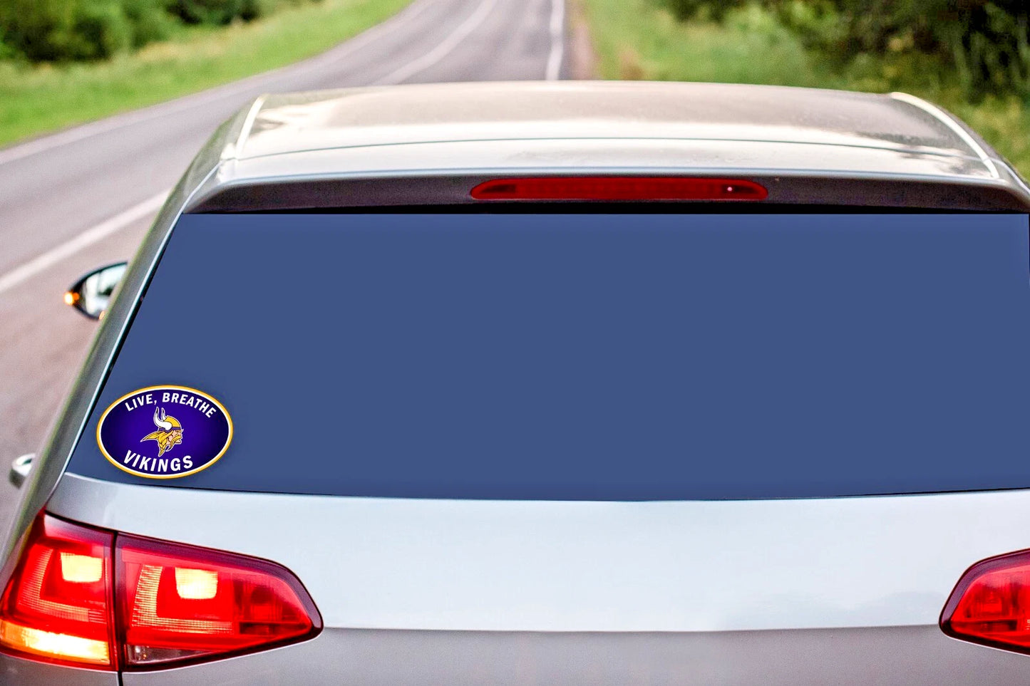 Minnesota Vikings Live-Breath Vinyl Auto or Flat Surface Decal (NFL)